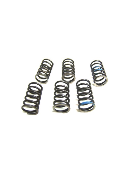 Royal Enfield Clutch Spring Kit