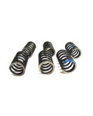 Royal Enfield Clutch Spring Kit