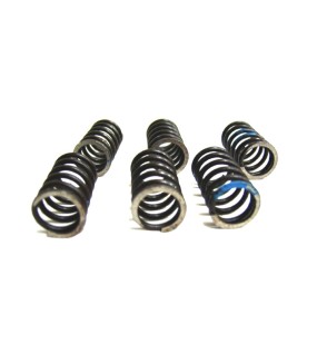 Royal Enfield Clutch Spring Kit