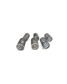 Royal Enfield Clutch Spring Kit