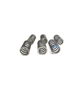 Royal Enfield Clutch Spring Kit