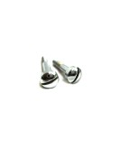 Royal Enfield Timing Cover Screw Kit Chromed