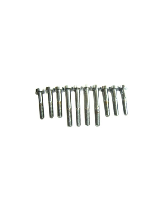 Royal Enfield Timing Cover Screw Kit Chromed