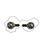 Yamaha RX100 Rear Indicator Set
